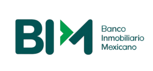 BIM (1)