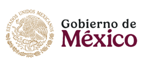 gobierno del estado